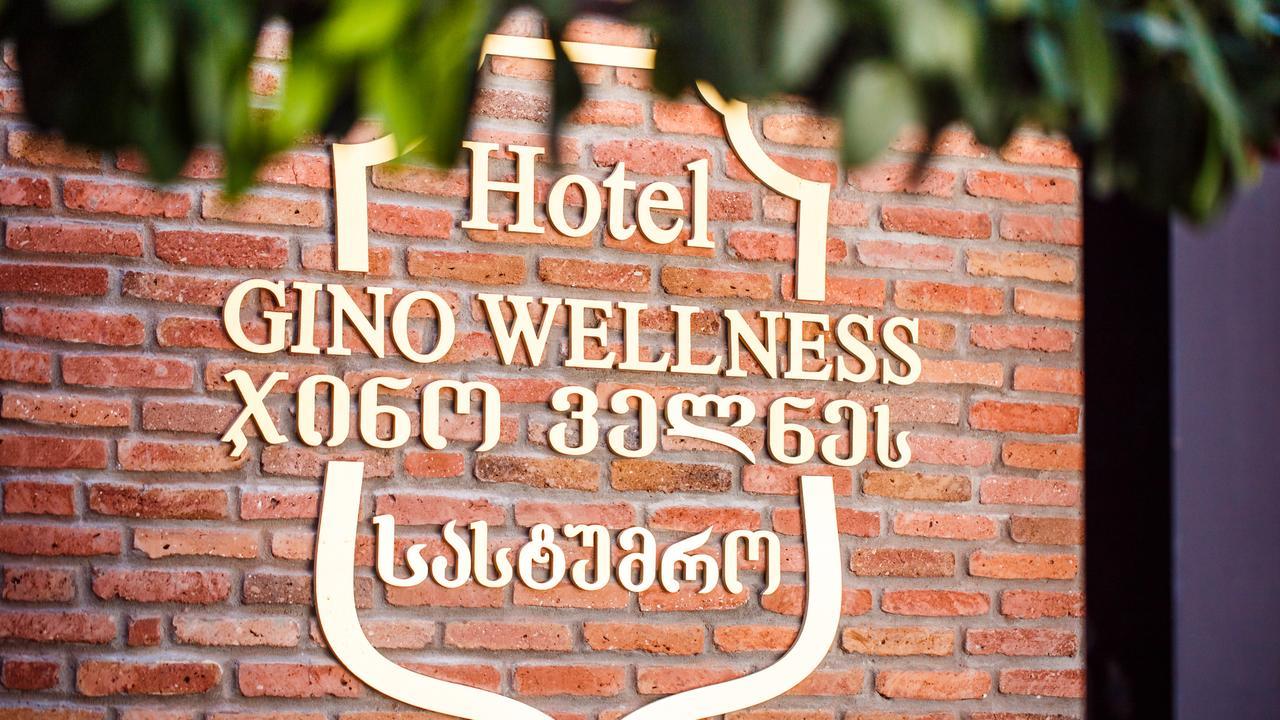 Hotel Gino Wellness Mtsʼkhetʼa Dış mekan fotoğraf